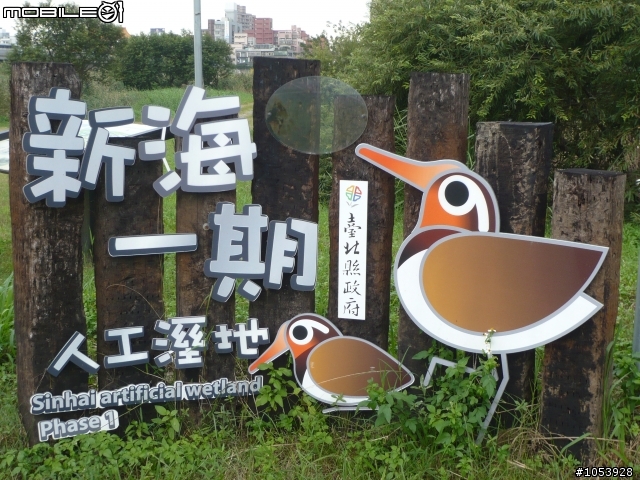 楓葉隧道-石門水庫