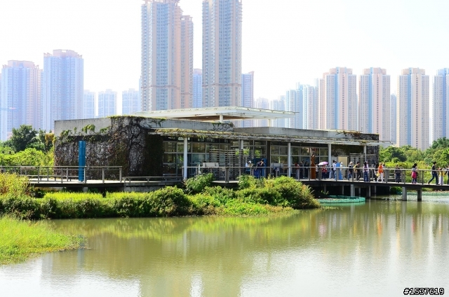 我的D7000 with 24-70 mm 香港溼地公園之旅