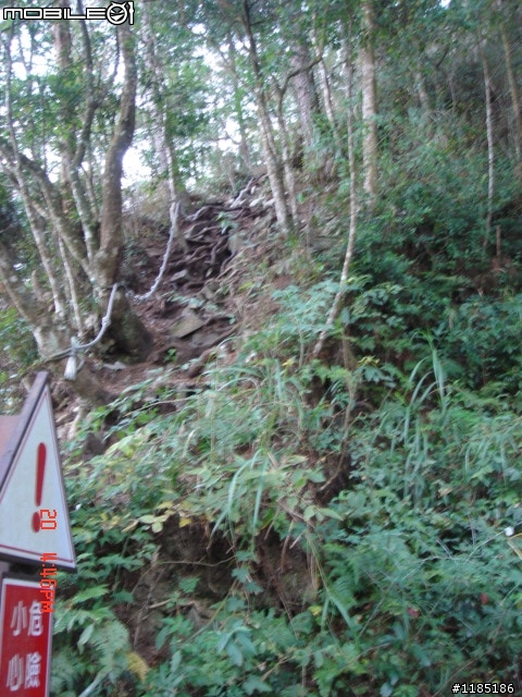 2010/11/20高雄至台中大雪山國家森林遊樂區隨心遊