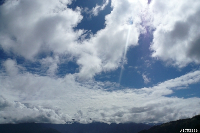 雪見攻略 雲海 雲瀑 樹林