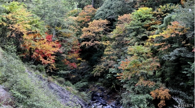 2010.11/18-19 350KM賞楓之旅(圖爆多)