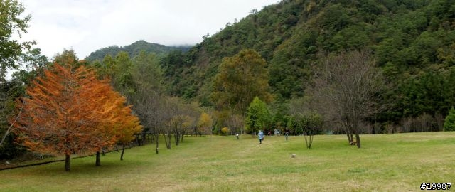 帶著 NEX-5 去清境