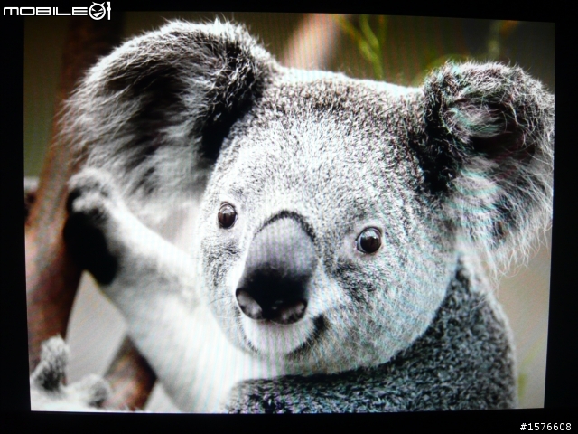 鋼琴質感再進化 ASUS ML248H 開箱分享