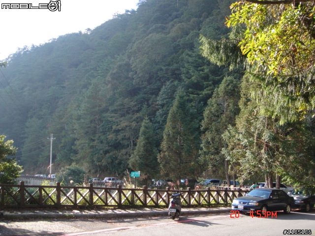 2010/11/20高雄至台中大雪山國家森林遊樂區隨心遊