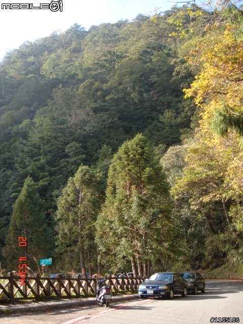 2010/11/20高雄至台中大雪山國家森林遊樂區隨心遊