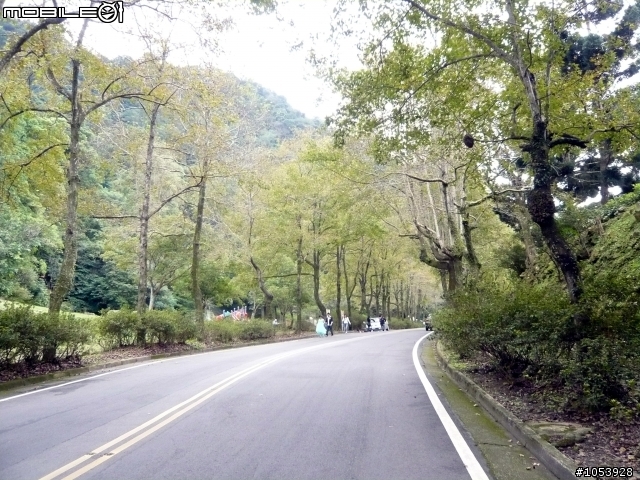 楓葉隧道-石門水庫