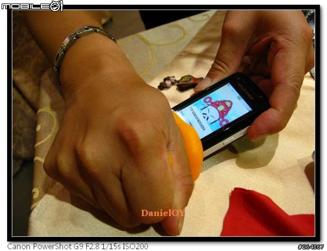 Sony Ericsson 2010年度健診