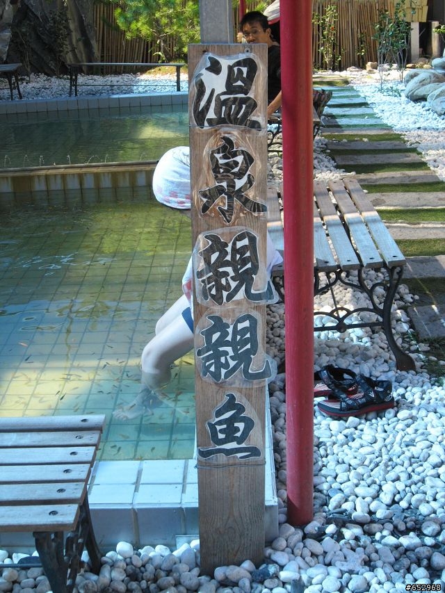胖白  賞楓泡溫泉去
