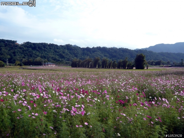 楓葉隧道-石門水庫