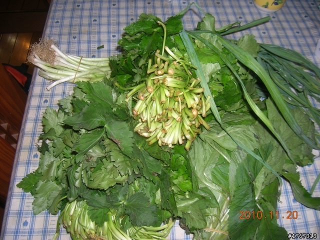 再探南橫..(梅山口)..之不老泡湯自由行---------
