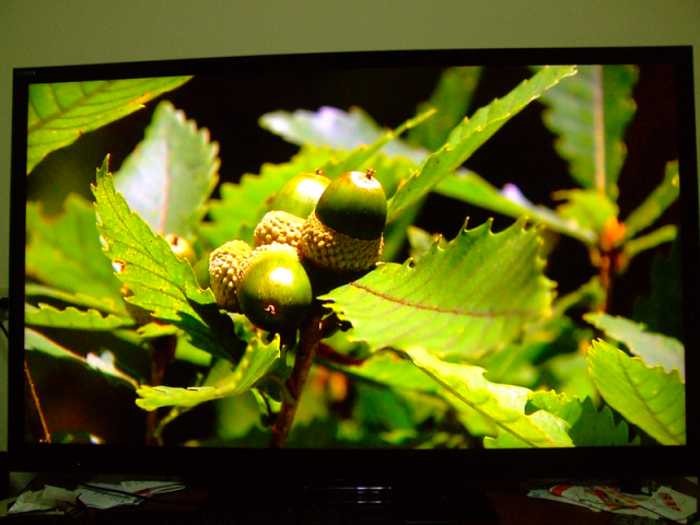 SONY 55NX810 使用中