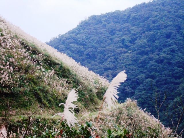 那個秋末‧桶后越嶺。