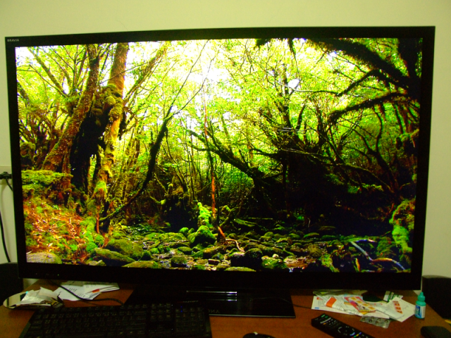 SONY 55NX810 使用中