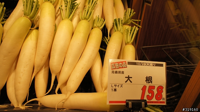 乘風而行～踩著颱風到日本！我的東京吃吃喝喝192小時