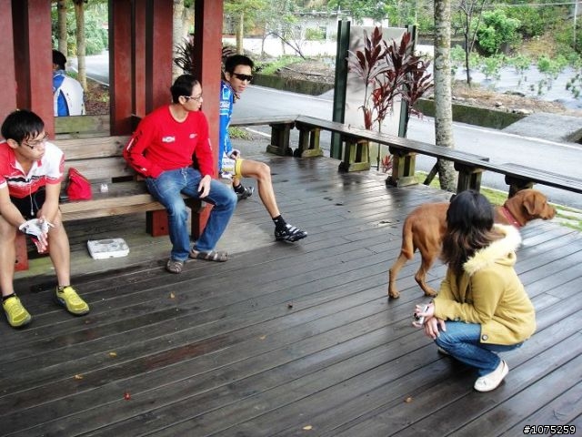 (照片)20101114成真公園+綠色隧道咖啡節