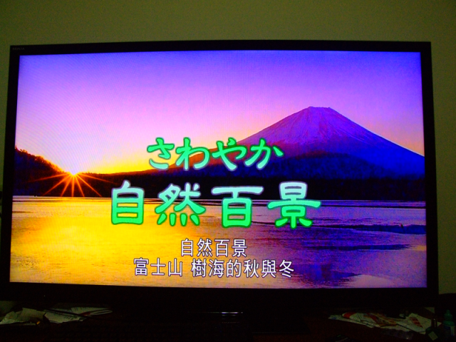 SONY 55NX810 使用中