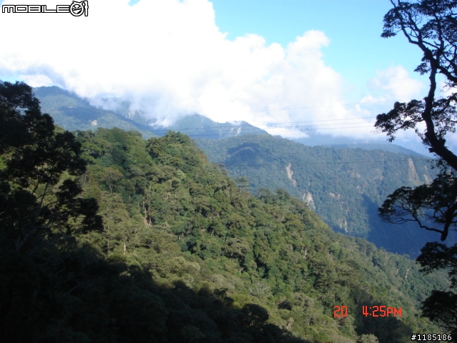 2010/11/20高雄至台中大雪山國家森林遊樂區隨心遊