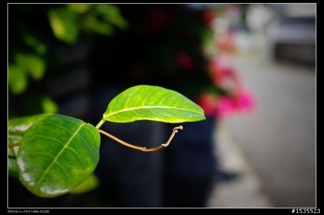 台灣遊之LOMO大樓 再來一棟?