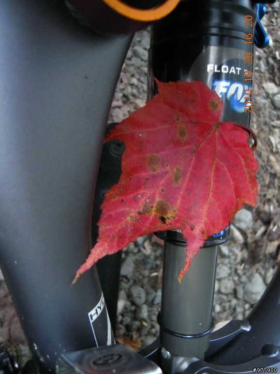【醉愛騎】輕騎沽酒趁梨花(郡大林道+望鄉山)