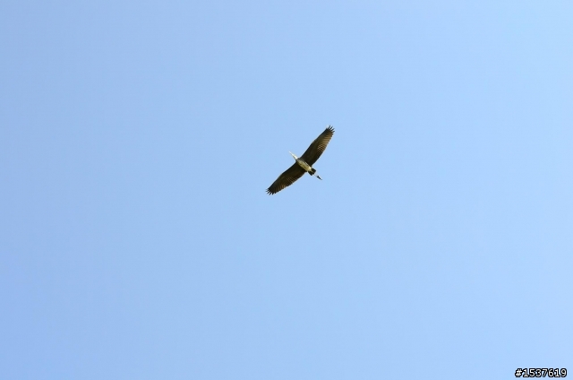 我的D7000 with 24-70 mm 香港溼地公園之旅
