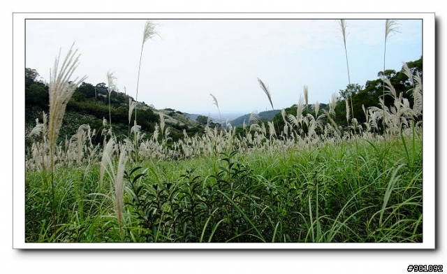 新竹地區優質單車路線~~新埔後山