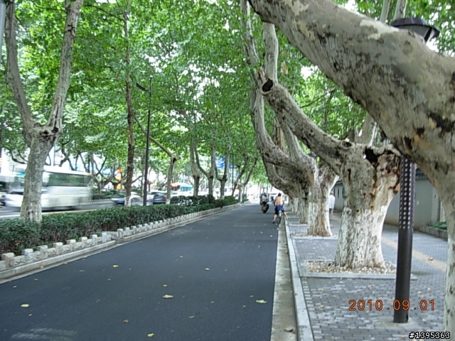 【2010神州之旅  】  北極村    TO   廈門