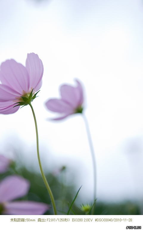 Alpha & Zeiss 臺北花博，圓山公園區