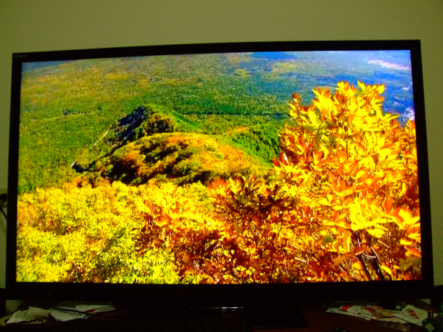 SONY 55NX810 使用中