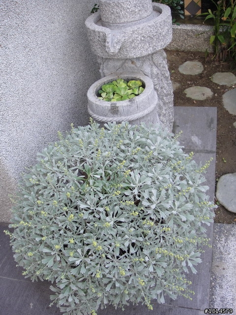 小小庭院‧大變身