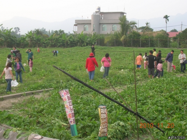 再探南橫..(梅山口)..之不老泡湯自由行---------