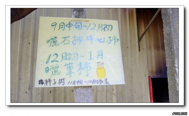 新竹地區優質單車路線~~新埔後山