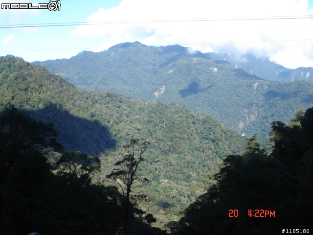 2010/11/20高雄至台中大雪山國家森林遊樂區隨心遊