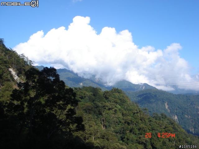 2010/11/20高雄至台中大雪山國家森林遊樂區隨心遊