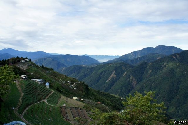 帶著 NEX-5 去清境