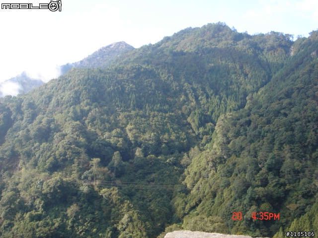2010/11/20高雄至台中大雪山國家森林遊樂區隨心遊