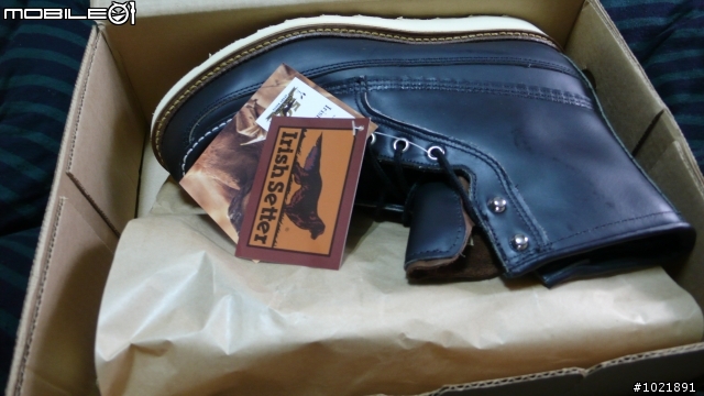 [舊開箱]Irish Setter 1952