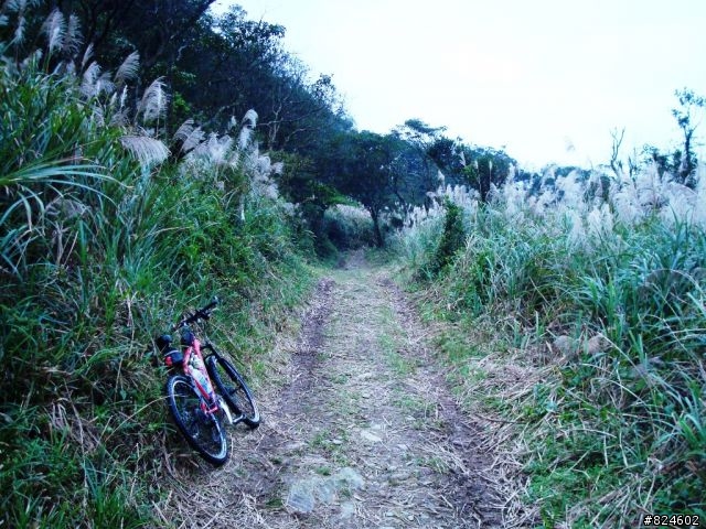 那個秋末‧桶后越嶺。