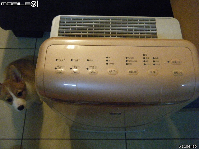 DAIKIN ACK75K 空氣清淨機簡易開箱