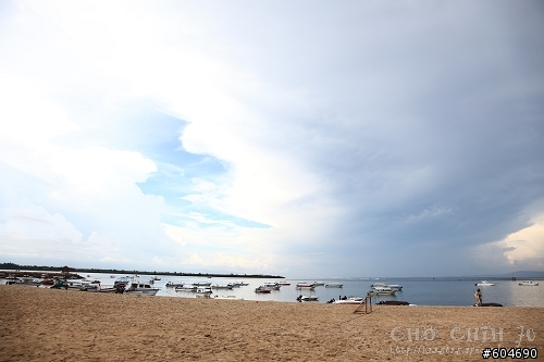 杏一 峇里島5日遊
