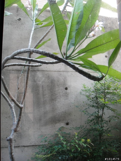 小小庭院‧大變身