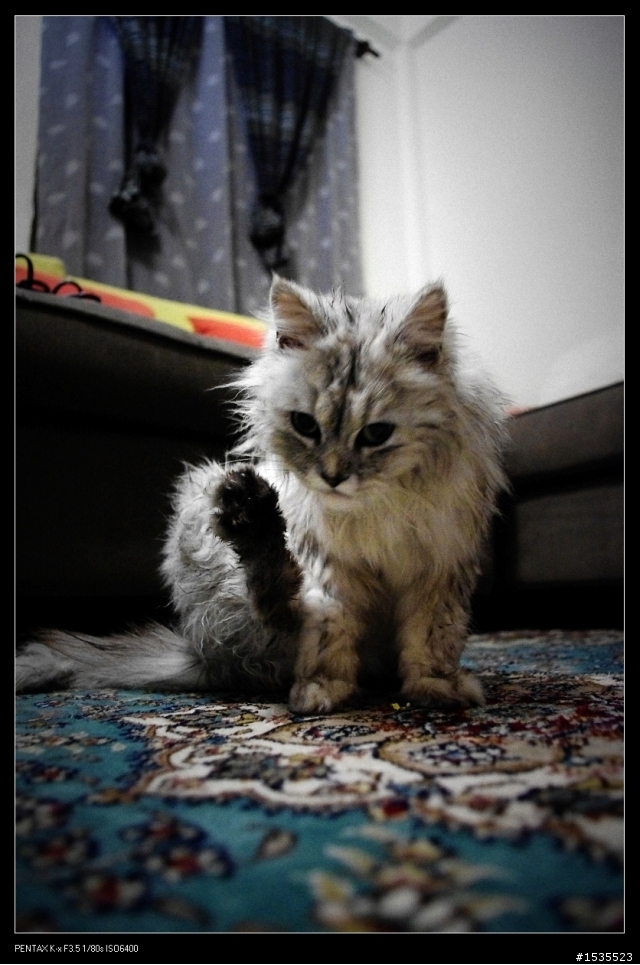 台灣遊之LOMO大樓 再來一棟?