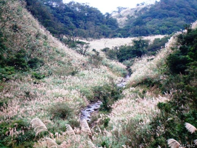 那個秋末‧桶后越嶺。