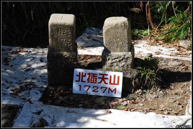 北插天山-多崖山-美麗的山毛櫸