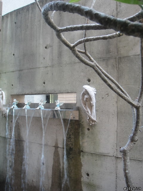 小小庭院‧大變身