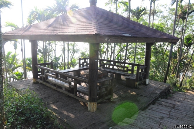 陪我減肥的D-90  雲林古坑  登山步道一遊[圖多]