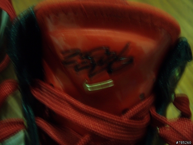 [分享]一雙定價5200的籃球鞋.....LEBRON VII P.S.