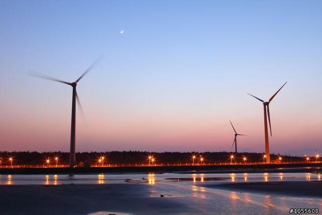 今天高美溼地好美