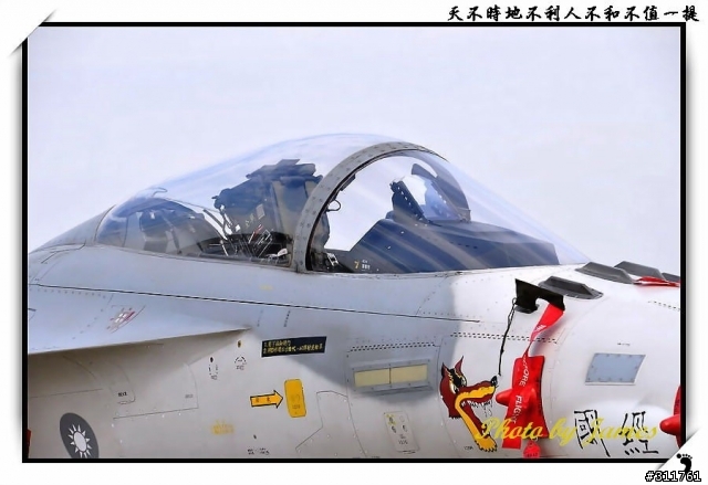 新竹打鳥趣(圖多礙眼請見諒)