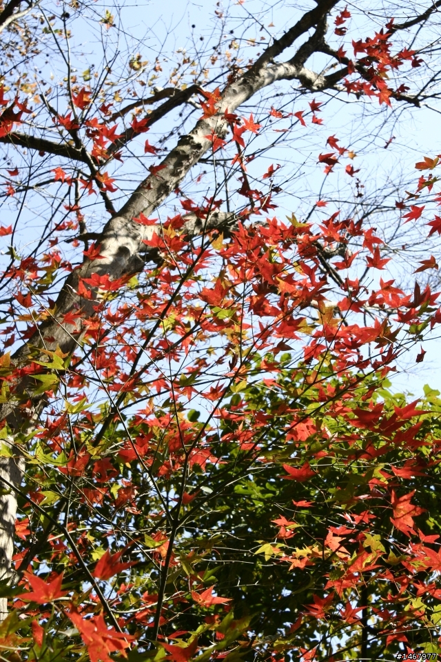 12月27日石門水庫+附近景點