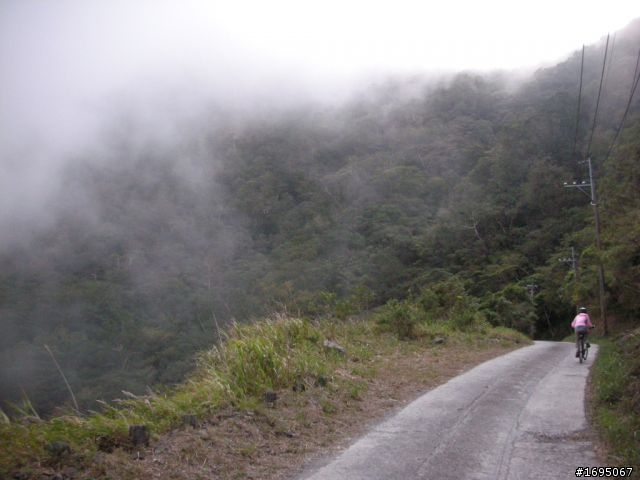 大漢林道賞楓行
